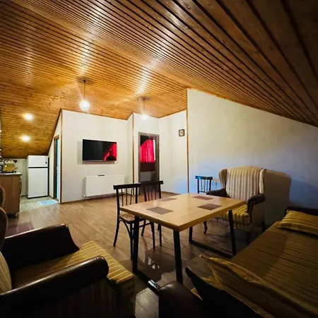Guest House Riverside Borjomi Exterior photo