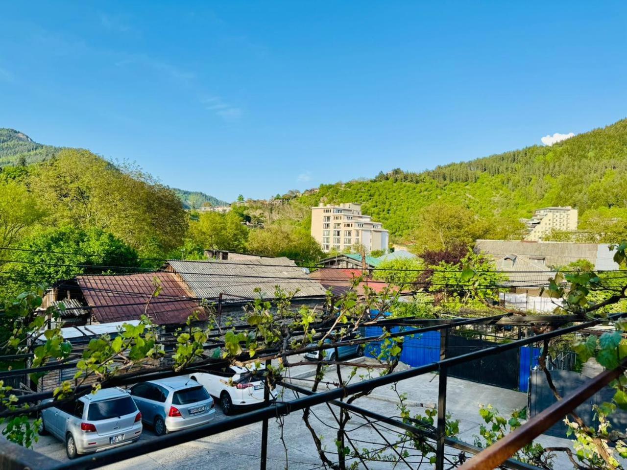 Riverside Borjomi